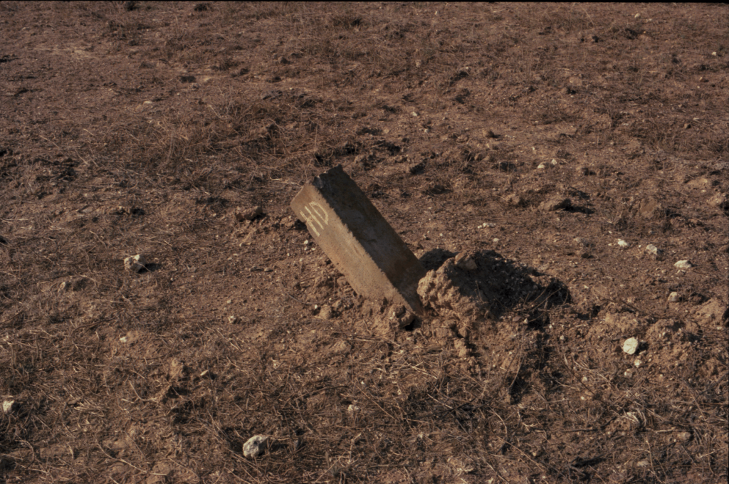 HP Image